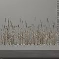 Dried Grasses In White Rectangular Planter With White Wall And Black Grid Panel 3d model
