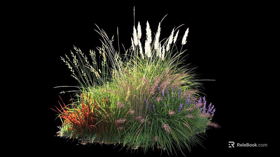 Colorful Mixed Garden Shrubs With Purple Flowers Red Grass And White Feathery Plants 3d model 