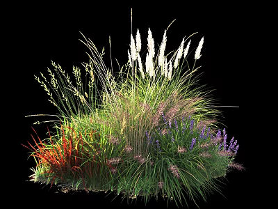 Colorful Mixed Garden Shrubs With Purple Flowers Red Grass And White Feathery Plants 3d model