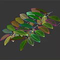 Vibrant Green Plant Branch With Lush Foliage And Small Red Fruit