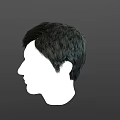 Model Displaying Short Black Hair Side Profile View On White Head Form 3d model
