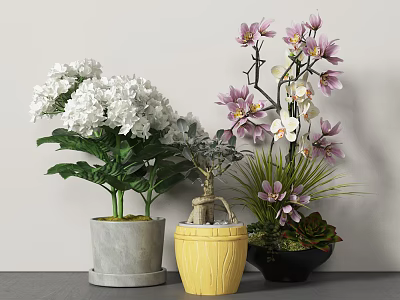 modern potted plant indoor potted plant 3d model