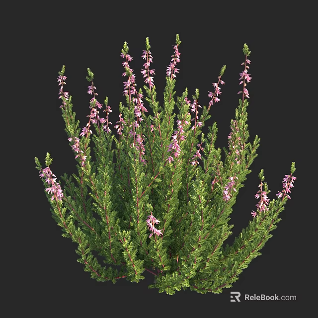 Lush Shrub With Green Foliage And Vibrant Pink Flowers In Bloom 3d model 