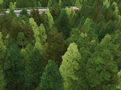 Lush Arbor Forest With Dense Green Canopy And Natural Scenery View 3d model