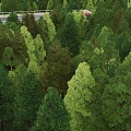 Modern Mountain Modern Tree Forest Bird's Eye View Mountain Mountain Forest Bird's Eye View Aerial View 3d model