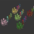 Colorful Decorative Plants With Red Purple Yellow Blue Flowers And Green Leaves