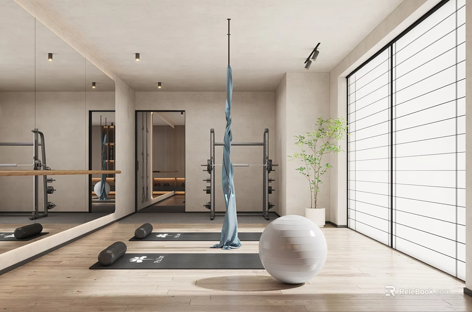 Modern Fitness Studio With Mirror Walls Yoga Mat Exercise Ball And Green Plants 3d model 