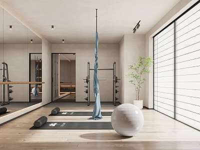 Modern Fitness Studio With Mirror Walls Yoga Mat Exercise Ball And Green Plants 3d model