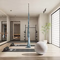 Modern Fitness Studio With Mirror Walls Yoga Mat Exercise Ball And Green Plants