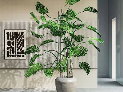 Large Indoor Potted Monstera Plant With Gray Cement Pot And Decorative Wall Art 3d model