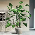 Large Indoor Potted Monstera Plant With Gray Cement Pot And Decorative Wall Art