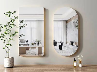 Rectangular And Oval Wall Mounted Mirrors In Modern Interior With Green Plant Decor 3d model