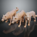 Three Light Colored Wolf Sculptures in Standing Pose with Reflections on Dark Background 3d model
