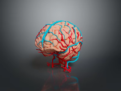 Advanced Medical Device for Brain Vessel Visualization Using 3D Modeling Technology 3d model