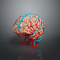 Advanced Medical Device for Brain Vessel Visualization Using 3D Modeling Technology