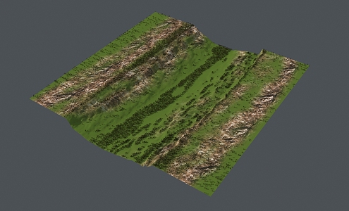 mountain terrain grassland 3d model