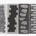 Stepping Stones with Various Stone Shapes and Slab Designs for Garden Path