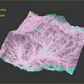 Black and white 3D mountain landscape with tree branch like texture and natural terrain pattern