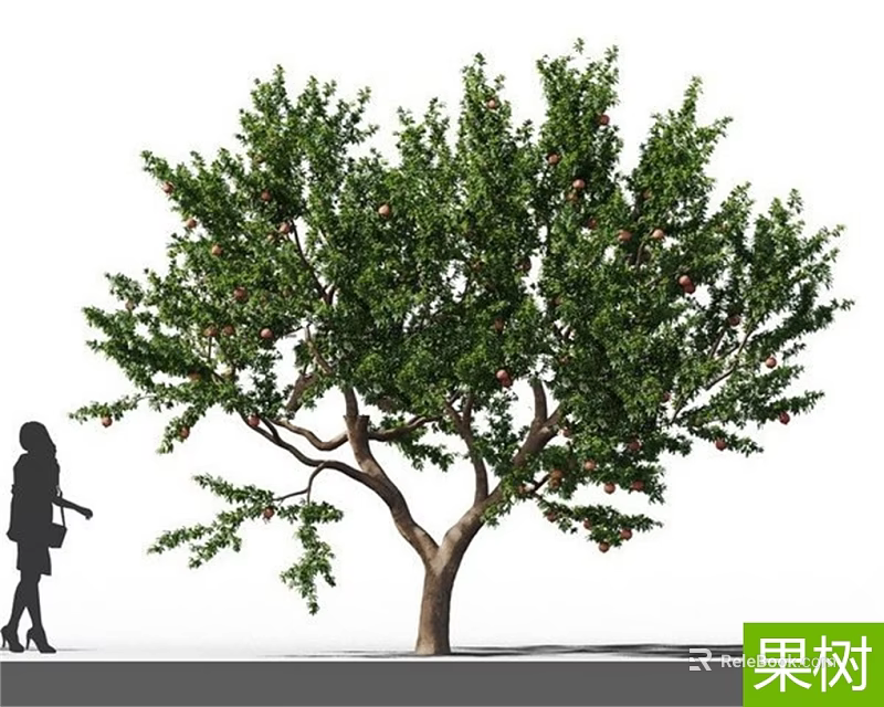 Healthy Fruit Tree With Lush Green Leaves Ripe Fruits And Strong Branches 3d model 