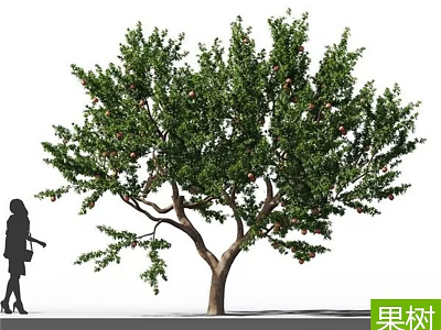 Healthy Fruit Tree With Lush Green Leaves Ripe Fruits And Strong Branches 3d model