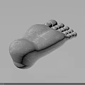 Realistic Human Foot Organ 3D Render With Textured White Surface And Reflective Dark Background