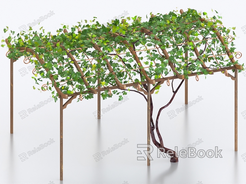 Vine Grape Rack Plant Rack Grape model