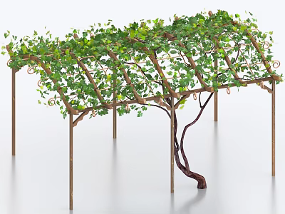 Lush Green Leafy Vines Covering Wooden Pergola Structure With Support Poles 3d model
