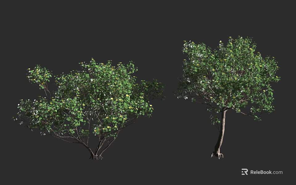 Two Arbor Trees With Lush Green Foliage Trunk And Exposed Roots 3d model