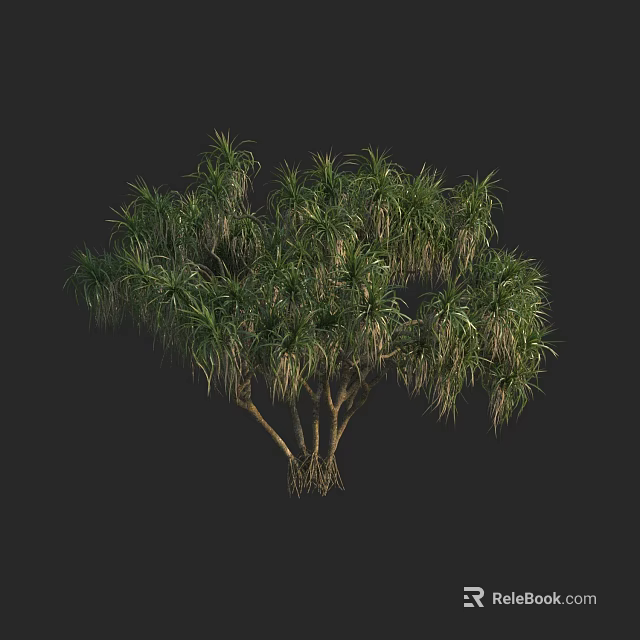 Lush Green Tree with Drooping Leaves and Multiple Trunks on Dark Background 3d model 