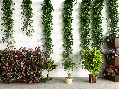Beautiful Bonsai And Various Potted Plants With Hanging Green Vines Pink Flowers Against White Wall 3d model