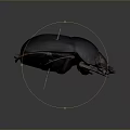 Realistic Black Beetle With Textured Shell And Segmented Legs On Dark Background 3d model
