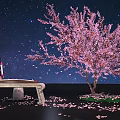 Cartoon Scene Featuring Night Sky Stars Pink Cherry Blossom Tree Stone Guzheng Girl Scattered Petals