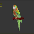 Vibrant Red Yellow Blue Parrot Perched On Wooden Branch Against Gray Background