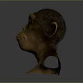 Ape Head Bust Sculpture Carving With Bronze Metallic Texture And Detailed Features