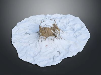 Snow Covered Wooden Stump With Natural Wood Texture And Circular Snow Area 3d model