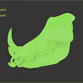 Animal Skull Display With Curved Horns And Detailed Skeletal Structure On Dark Background