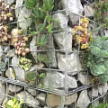Home Balcony Vertical Garden With Wire Mesh Stones Succulents And Green Plants