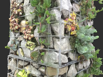 Home Balcony Vertical Garden With Wire Mesh Stones Succulents And Green Plants 3d model