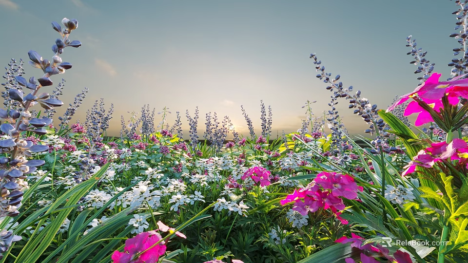 Vibrant Flower Field With Purple Lavender Pink Blooms And White Flowers Under Sunset Sky 3d model 