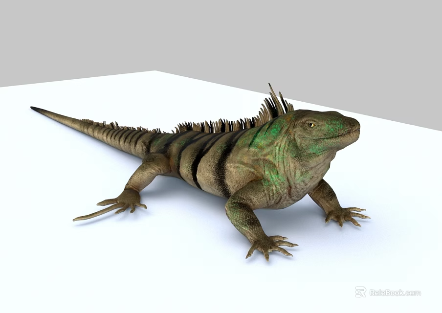 Green And Brown Striped Reptile Iguana With Spiked Back Resting On White Surface 3d model 
