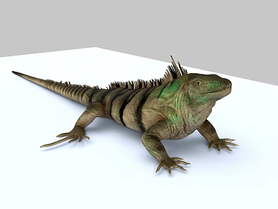 Green And Brown Striped Reptile Iguana With Spiked Back Resting On White Surface 3d model