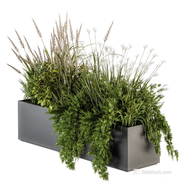 Modern Living Plant Wall With Vertical Garden Design And Diverse Green Foliage In Black Planter 3d model 