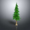 Green Pine Tree With Lush Foliage Brown Trunk Exposed Roots On Reflective Dark Surface 3d model