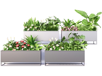 Modern Flower Box Transfer Flower Box Plant Flower Box 3d model