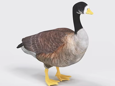 Flying Animal Goose With Black Head Yellow Beak Brown White Feathers And Yellow Feet 3d model