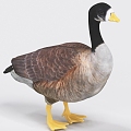 Big Goose, Goose, Duck 3d model