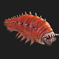 Red Spiky Creature With Segmented Body And Sharp Spines