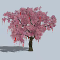 Beautiful Pink Blossom Tree with Red Tassel Decorations Hanging on Branches