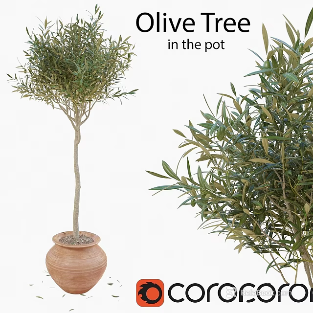 Decorative Olive Tree Plant Arrangement with Potted Greenery and Natural Foliage 3d model 