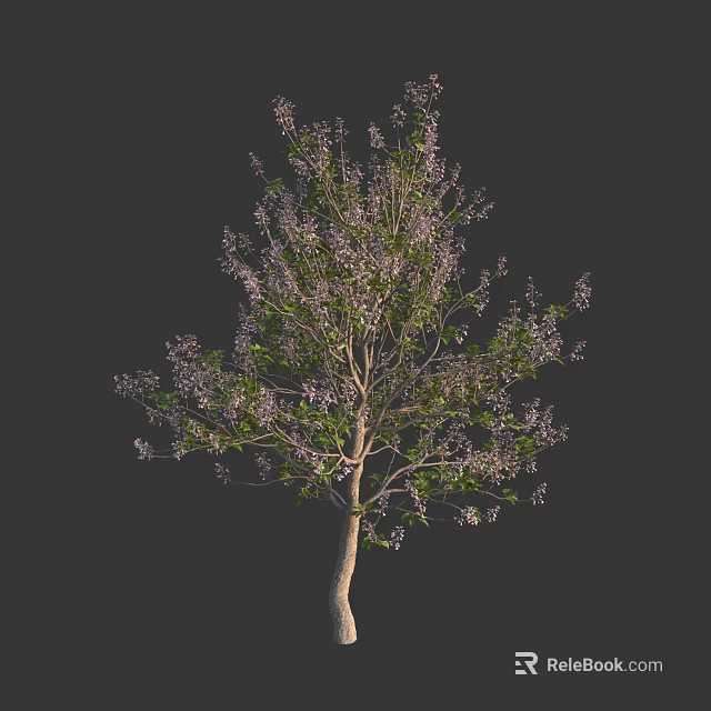 Tall Arbor Tree With Green Leaves And Purple Flowers On Dark Background 3d model 